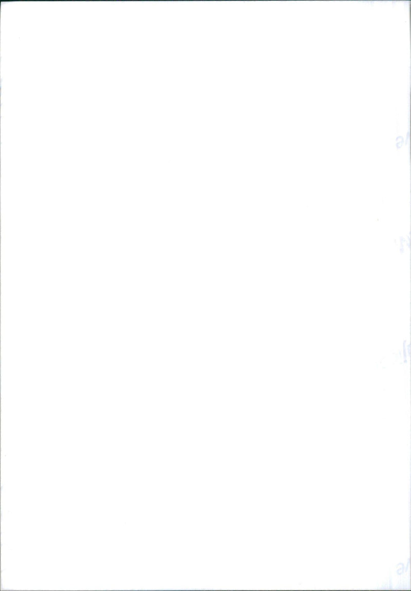 Isuzu Trooper, special model "Woodland" - Vintage Photograph