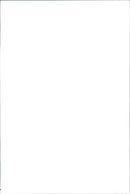 Peugeot 206 CC - Vintage Photograph