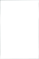 Peugeot 206 CC - Vintage Photograph