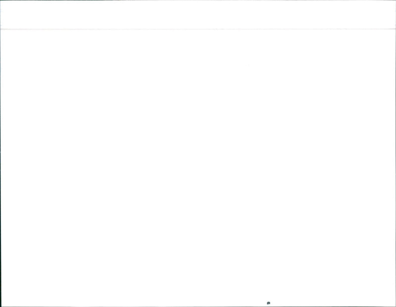 1989 Toyota Land Cruiser - Vintage Photograph