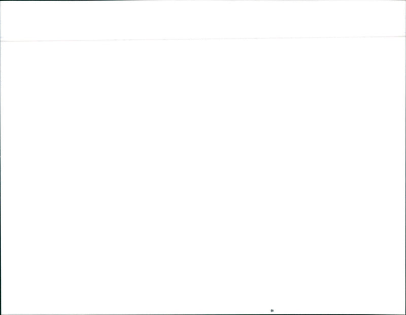 1989 Toyota 1 Ton - Vintage Photograph