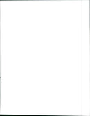 1989 Toyota Cressida - Vintage Photograph