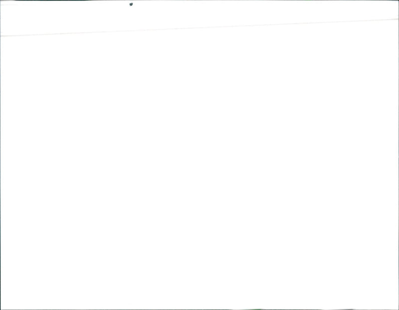 1989 Toyota MR2 - Vintage Photograph