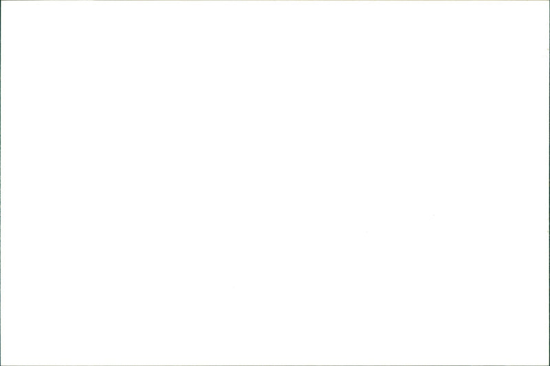 PINEWOOD LANDSCAPES /4 PATIOS / FENCING PATHS TURFING WATER FEATURES - Vintage Photograph