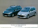 2005 Peugeot 307 Break and 307 SW - Vintage Photograph