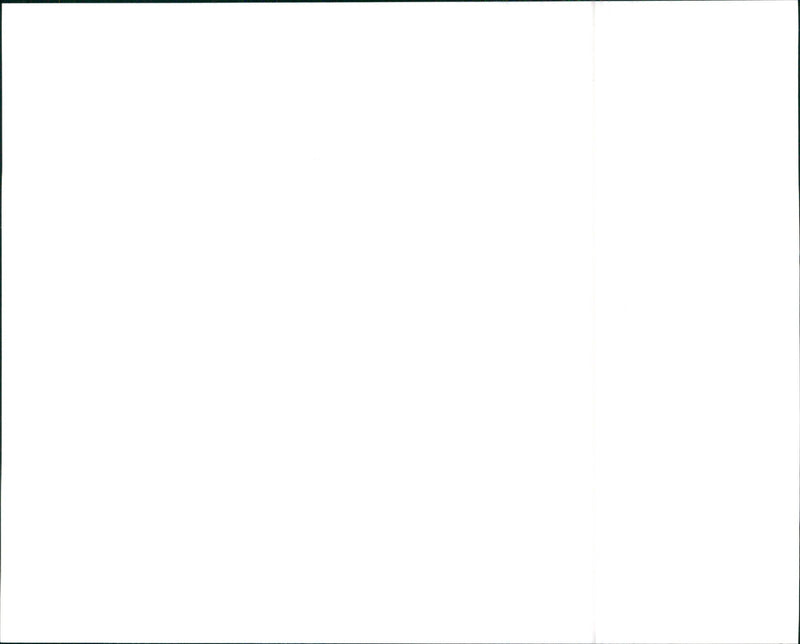 Lancia Delta S4 - Vintage Photograph