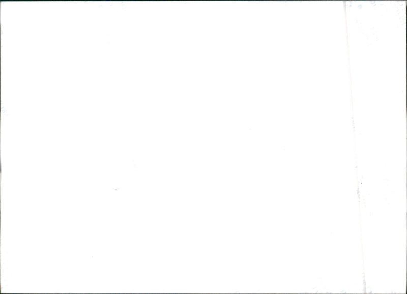 1996 Citroen Commercial Vehicle Range - Vintage Photograph