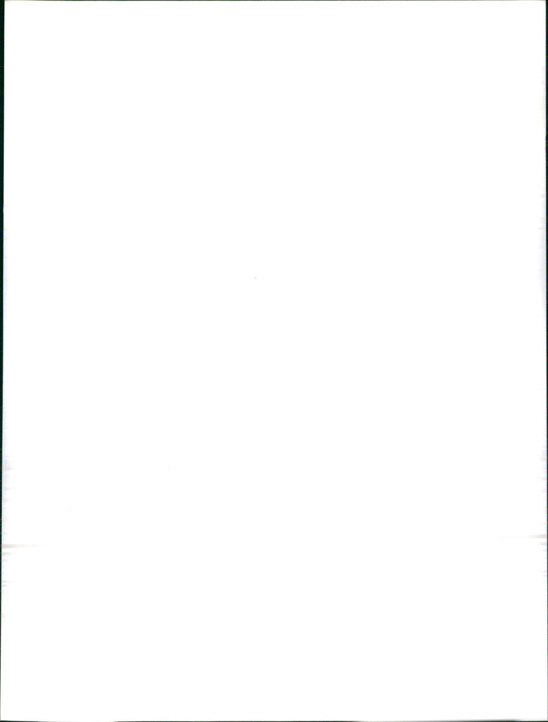 1983 Audi 80 Quattro - Vintage Photograph