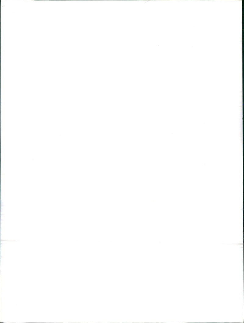 1983 Audi 80 Quattro - Vintage Photograph