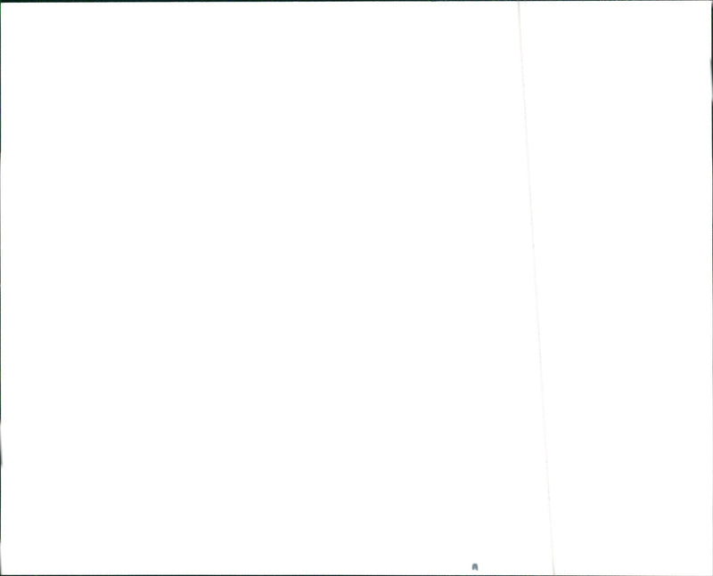 1990 Hyundai Sonata GLS - Vintage Photograph