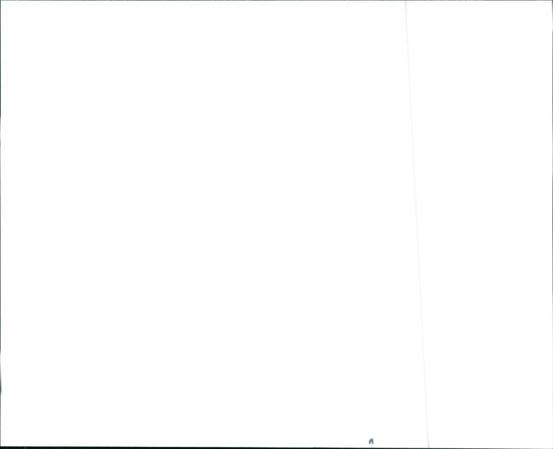 Premium Hyundai/Polk - Vintage Photograph