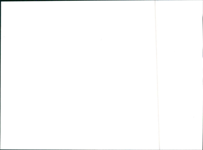 1990 Hyundai - Vintage Photograph