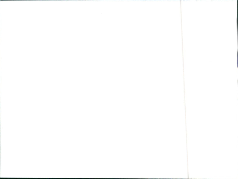 1990 Hyundai - Vintage Photograph