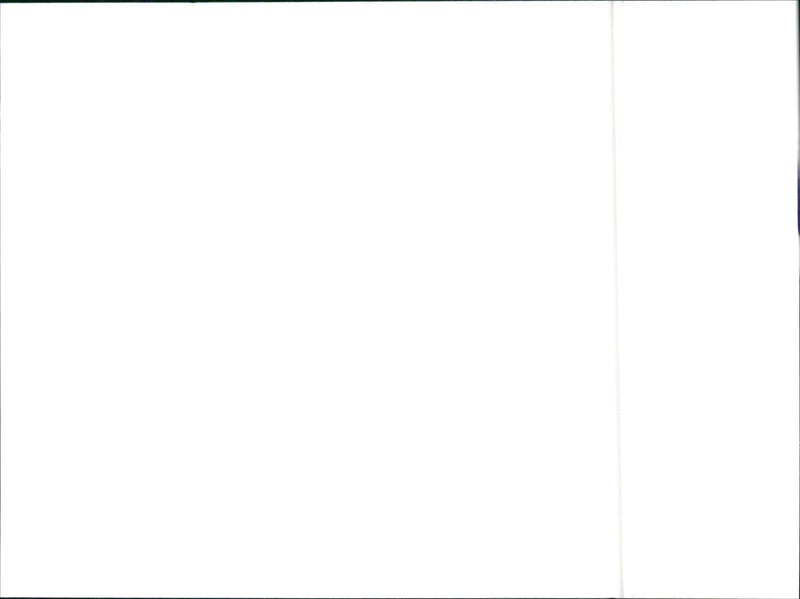 1990 Hyundai - Vintage Photograph