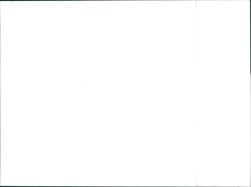 1990 Hyundai - Vintage Photograph