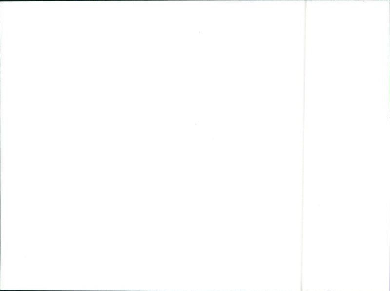 1990 Hyundai - Vintage Photograph