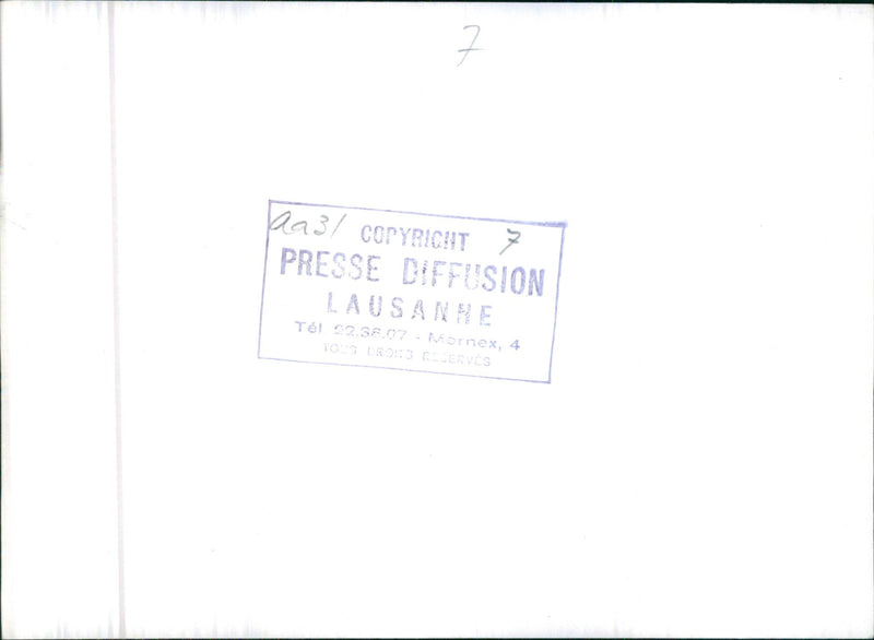 Feeding bevy of Swans - Vintage Photograph