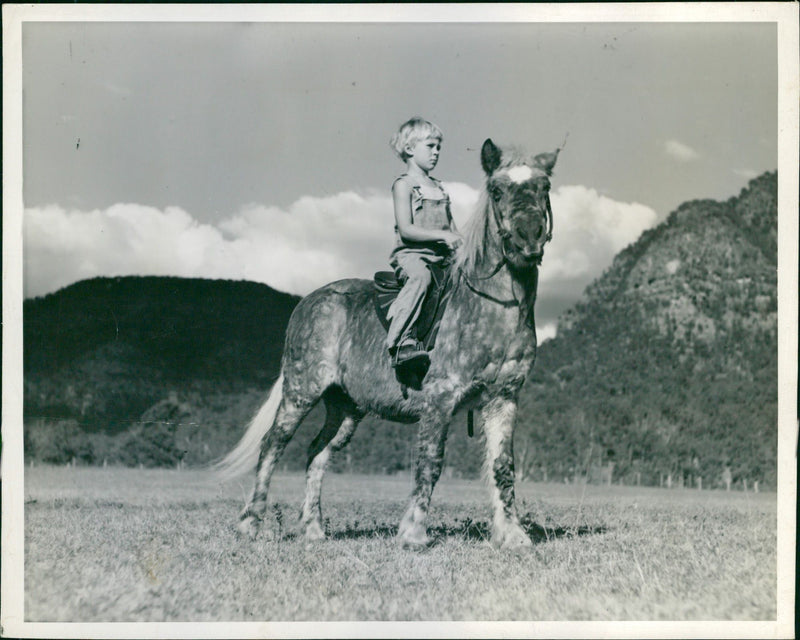 Nickey Yardley in Bush Christmas - Vintage Photograph