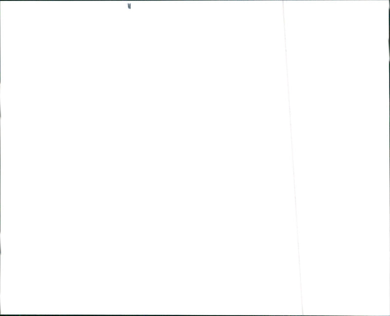 Hyundai Sonata - Vintage Photograph