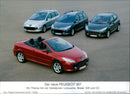 Peugeot 307 - Vintage Photograph