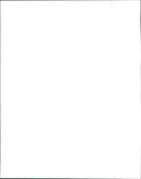 1998 BMW 323is Coupe and 1998 BMW 323i Convertible - Vintage Photograph