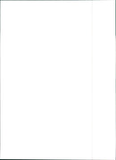 Peugeot 406 Coupe - Vintage Photograph