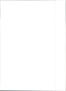 Peugeot 806 - Vintage Photograph