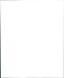 1998 Nissan Altima GXE. - Vintage Photograph