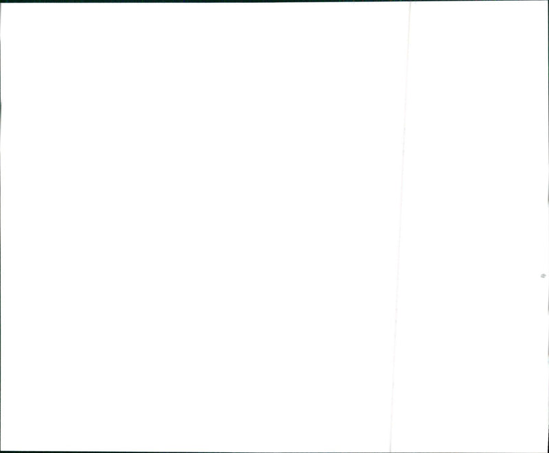 1995 Infiniti Q45 - Vintage Photograph