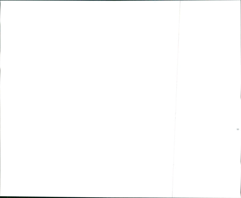 1995 Infiniti Q45t - Vintage Photograph