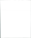 1995 Infiniti G20 - Vintage Photograph