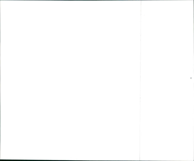 1995 Infiniti G20t - Vintage Photograph