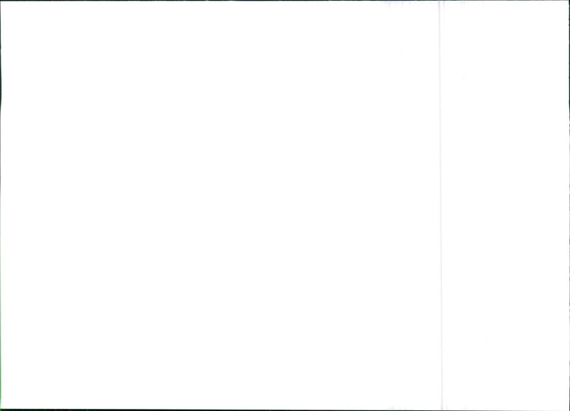 Citroen Saxo Car 1995. - Vintage Photograph