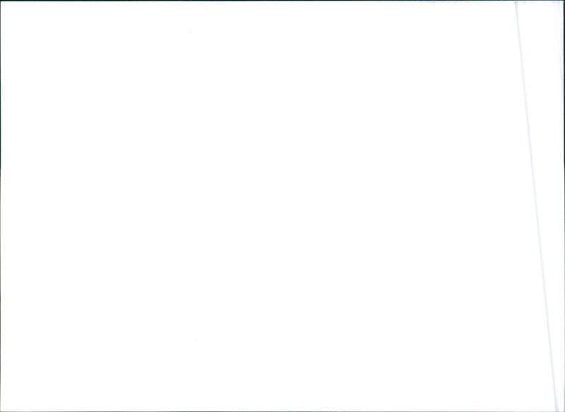 1996 Citroen Saxo 1.6 VTS and 1996 Citroen ZX 16V - Vintage Photograph