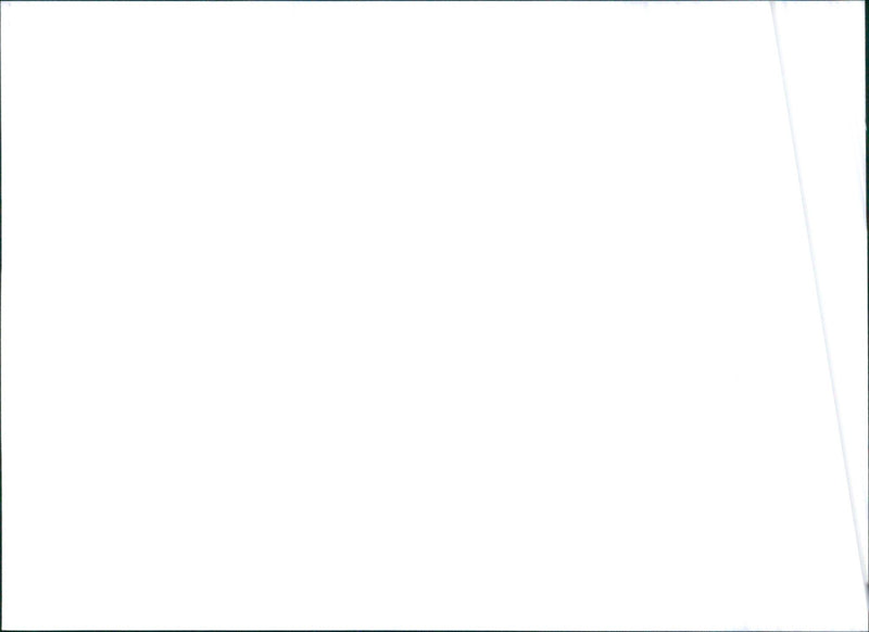 1996 Citroen Berlingo - Vintage Photograph