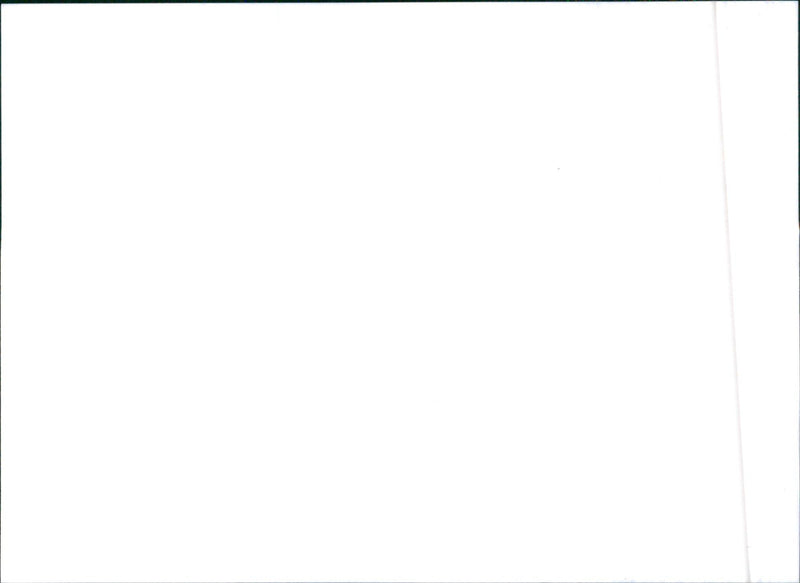 1996 Citroen XM Kombi, Xantia Kombi and ZX Kombi. - Vintage Photograph