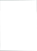 Peugeot 306 - Vintage Photograph