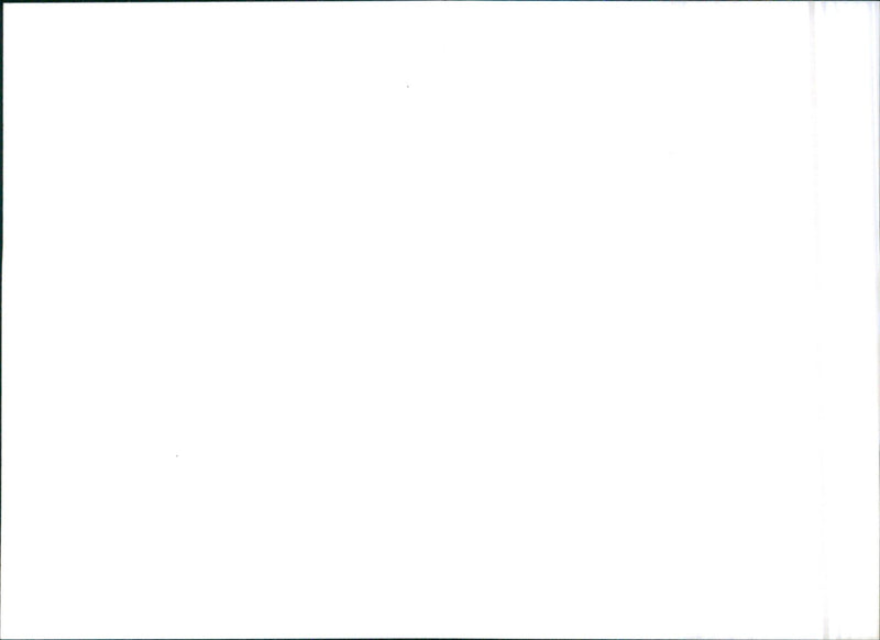 1995 Citroen Xantia Break - Vintage Photograph