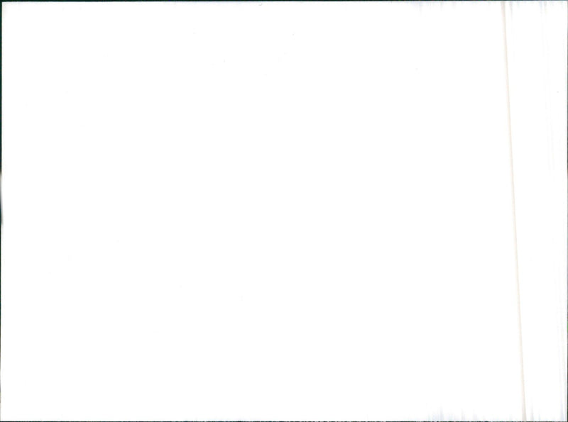 1970 Subaru Engine - Vintage Photograph