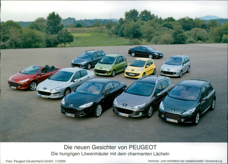 Peugeot 2005 - Vintage Photograph