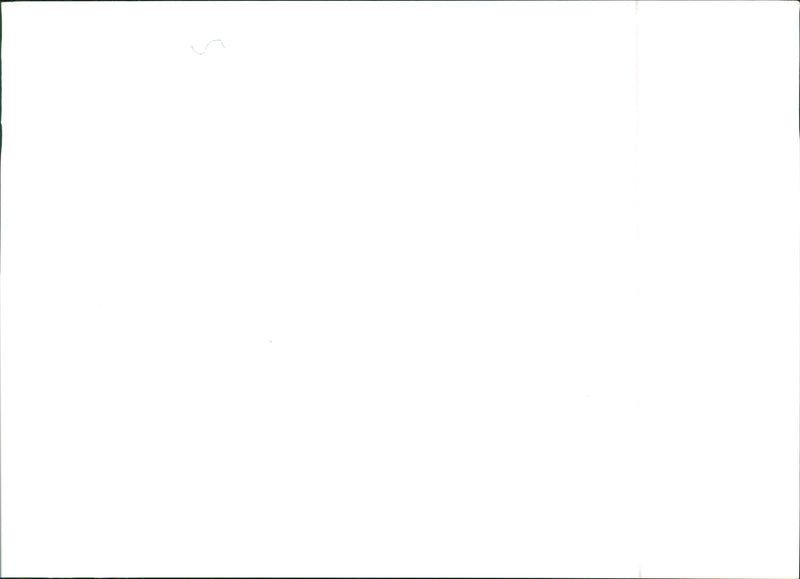 Lancia Delta S4 - Vintage Photograph