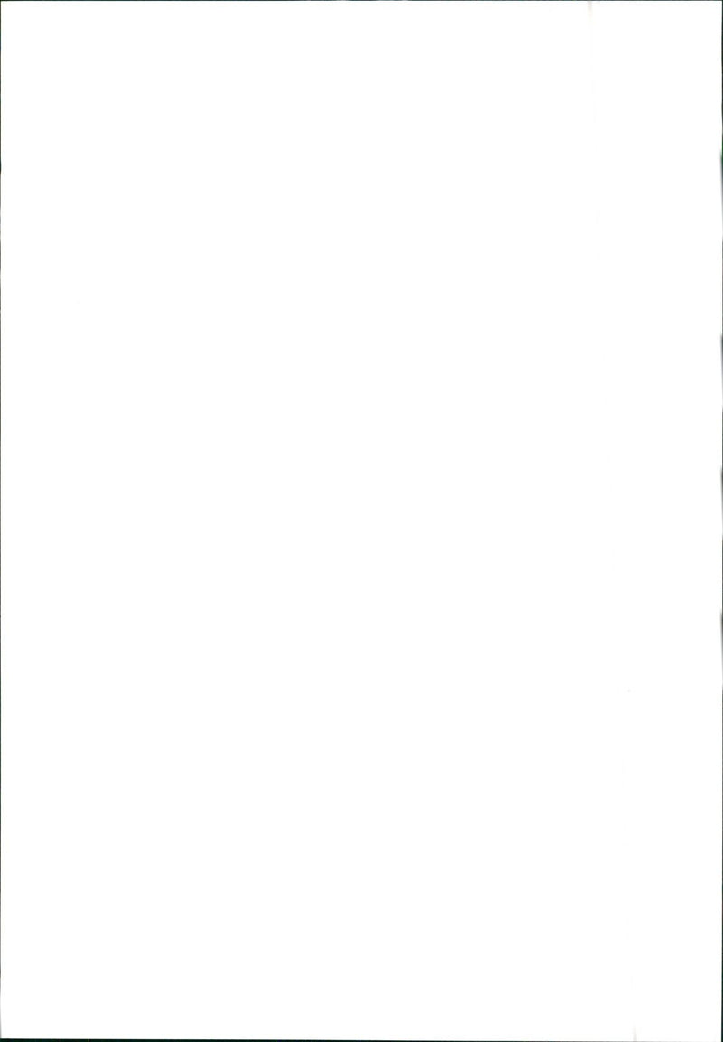 Lancia Delta S4 - Vintage Photograph