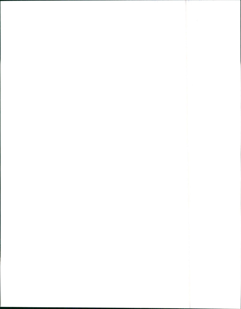 1994 Oldsmobile Achieva SL - Vintage Photograph