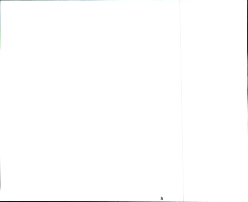 1990 Excel with 1.5l MPI Engine - Vintage Photograph