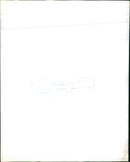 Woman in bikini with foliage print - Vintage Photograph