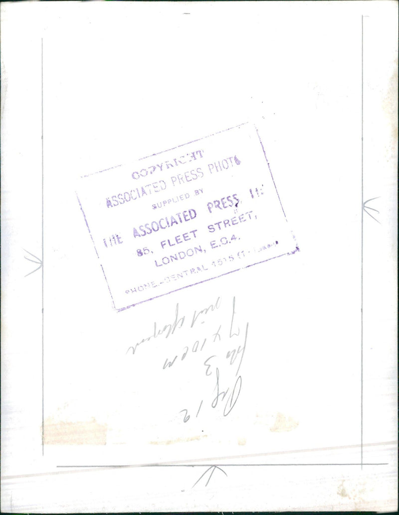 Model in fashion hat with veil. - Vintage Photograph