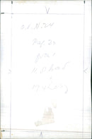 Military officers and - nurses - Vintage Photograph