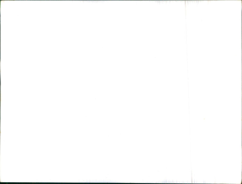 Boy and dove - Vintage Photograph