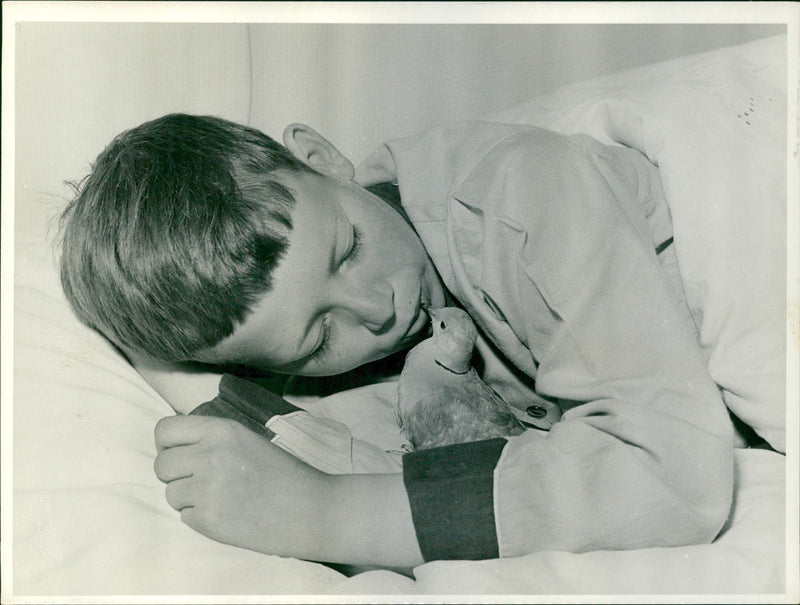 Boy and dove - Vintage Photograph