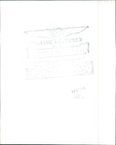 Woman and rooster - Vintage Photograph